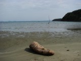 45. Susak